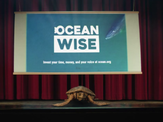 OceanWise